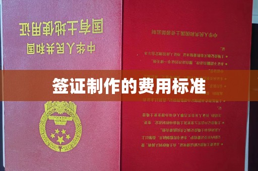 寻乌签证制作的费用标准